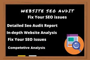 Portfolio for I Will Provide Website Seo Audit Report